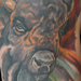 Tattoos - Buffalo - 40223